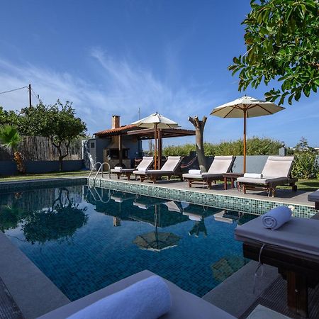 Platanias Villa Spyros ภายนอก รูปภาพ